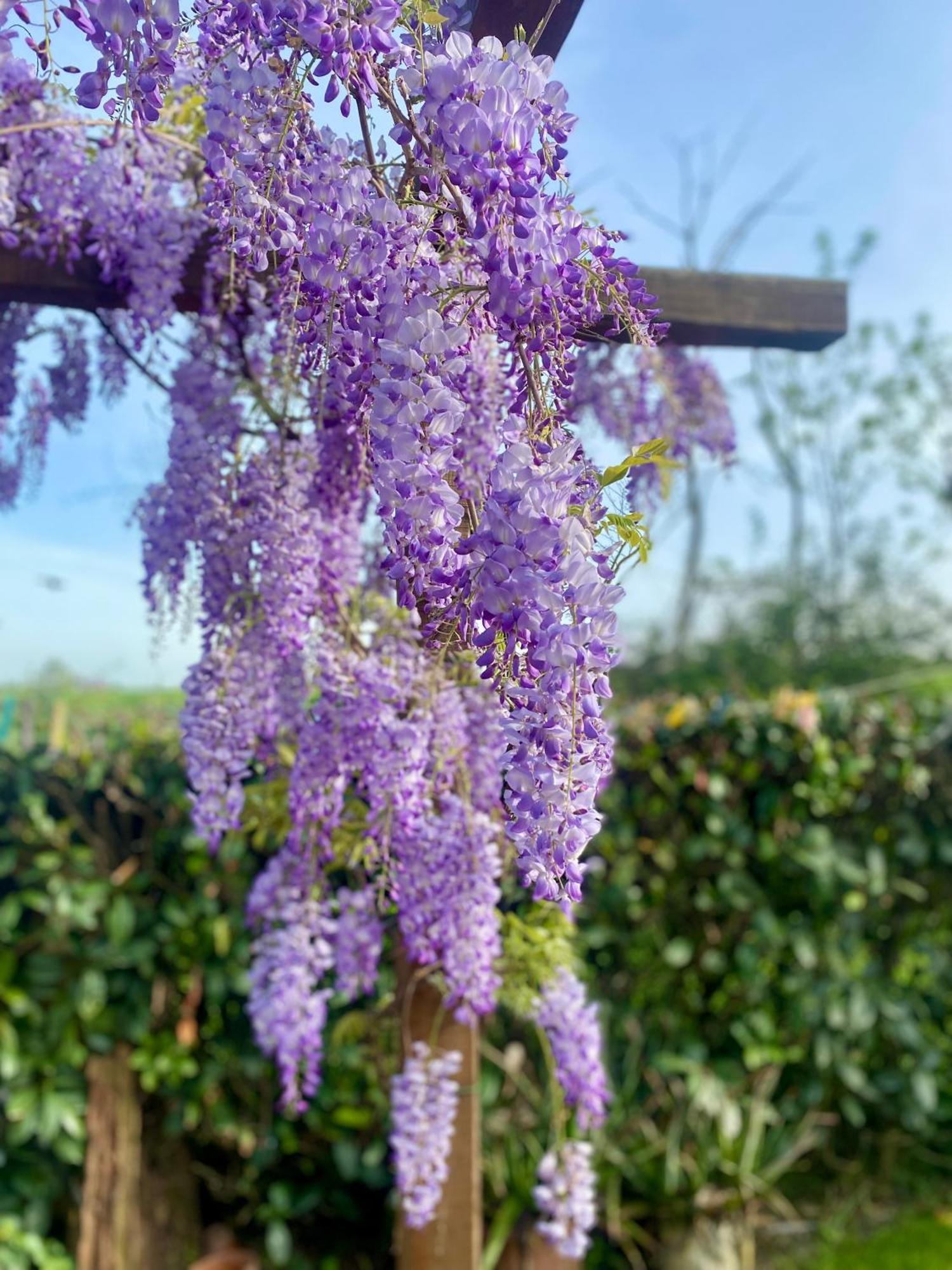 Pensjonat La Locanda Del Tevere Fiano Romano Zewnętrze zdjęcie