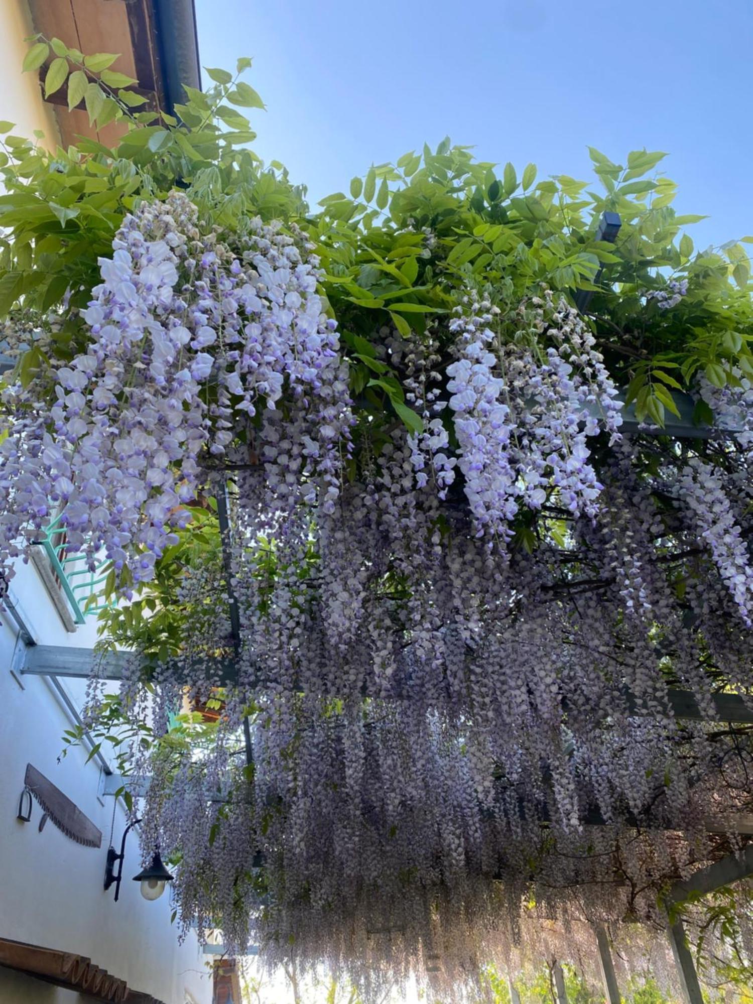 Pensjonat La Locanda Del Tevere Fiano Romano Zewnętrze zdjęcie