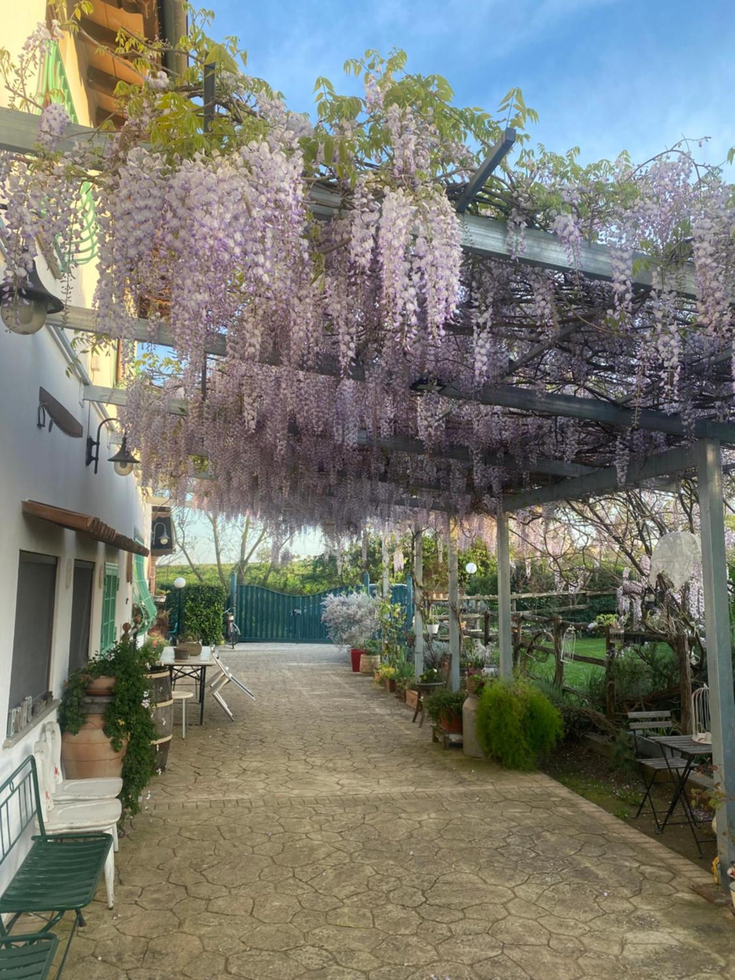 Pensjonat La Locanda Del Tevere Fiano Romano Zewnętrze zdjęcie