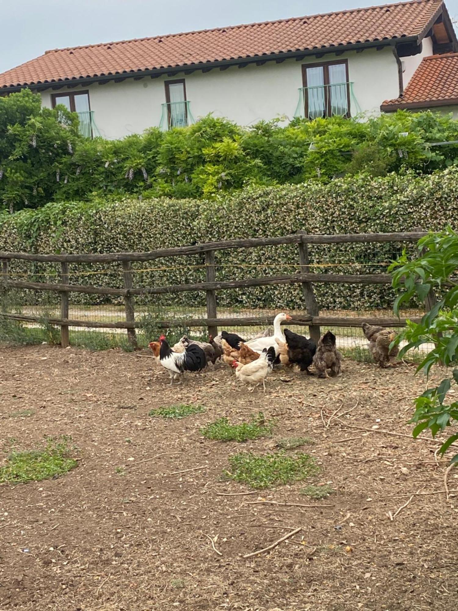 Pensjonat La Locanda Del Tevere Fiano Romano Zewnętrze zdjęcie